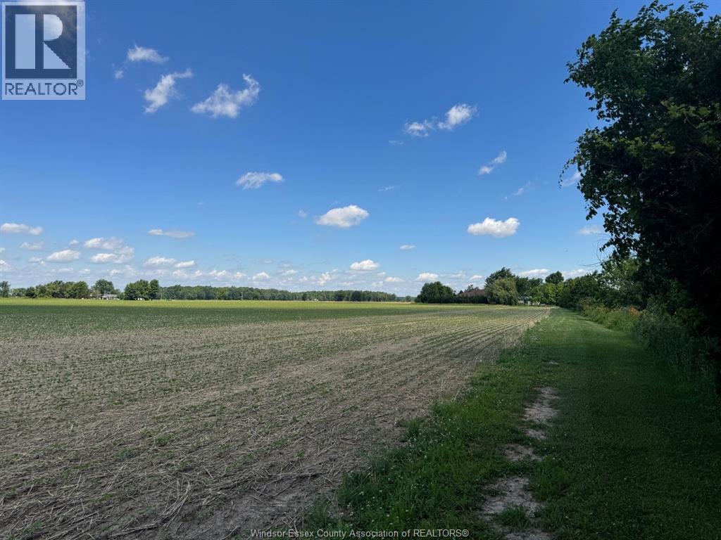 9773 9th Concession Rd. Property Photo 38