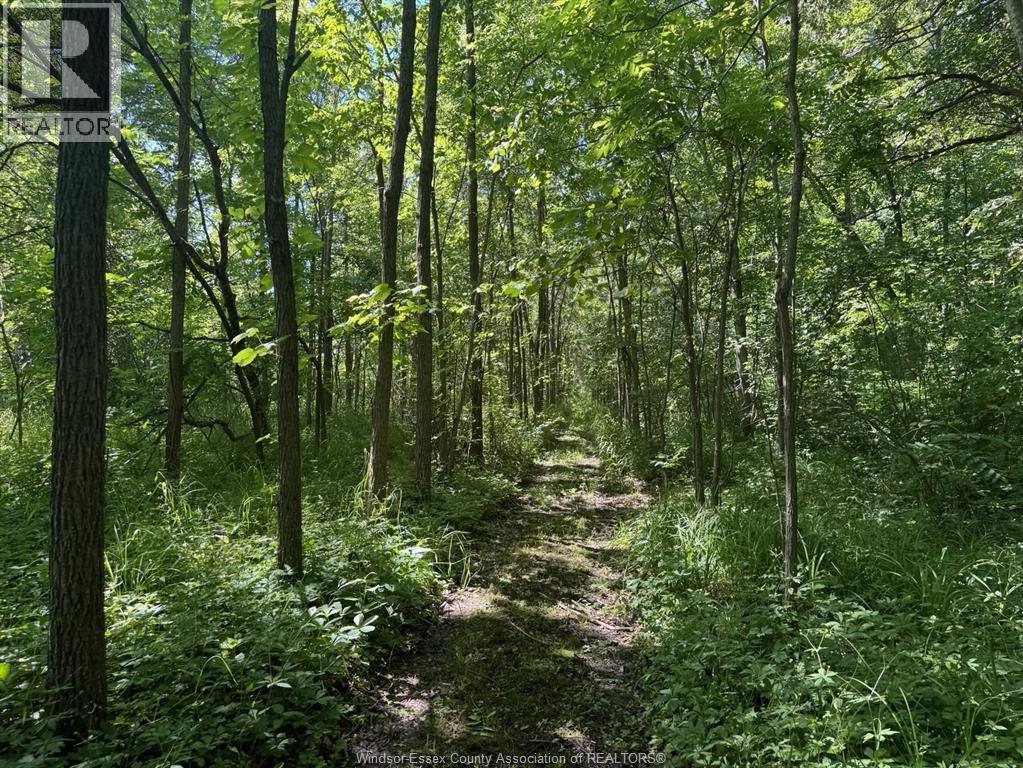 9773 9th Concession Rd. Property Photo 40