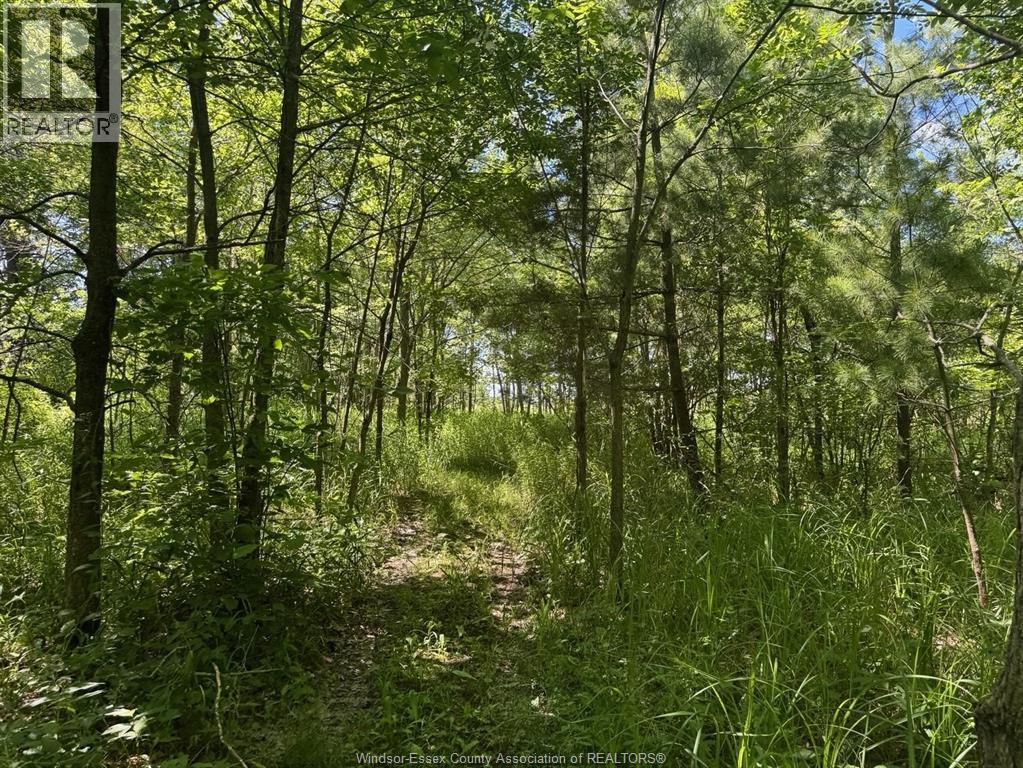 9773 9th Concession Rd. Property Photo 41