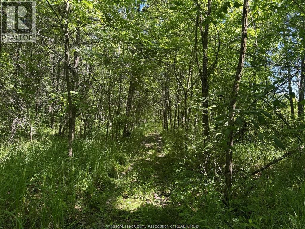 9773 9th Concession Rd. Property Photo 42