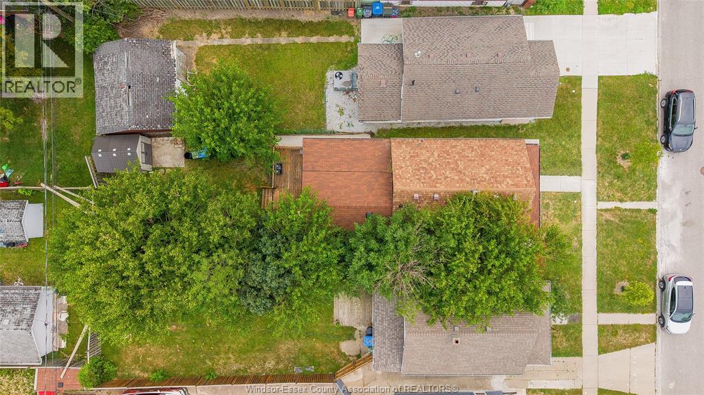 1626 Albert Property Photo 23