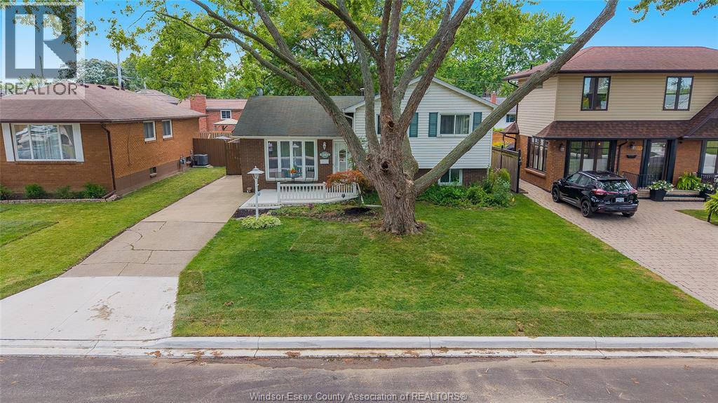 381 CARLING Property Photo 1