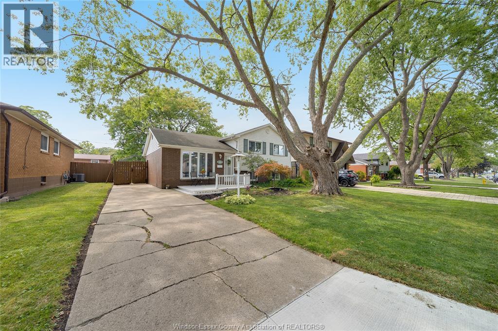 381 Carling Property Photo 41
