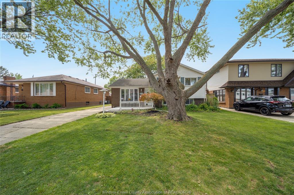 381 Carling Property Photo 42