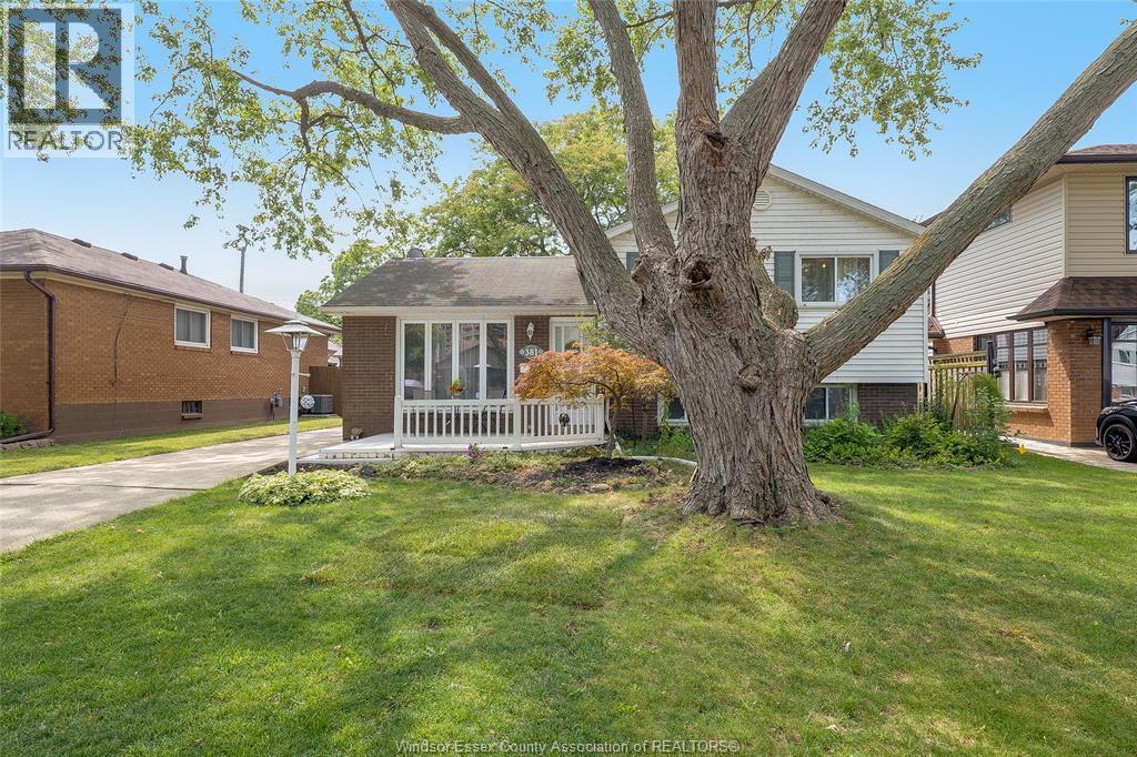 381 Carling Property Photo 43