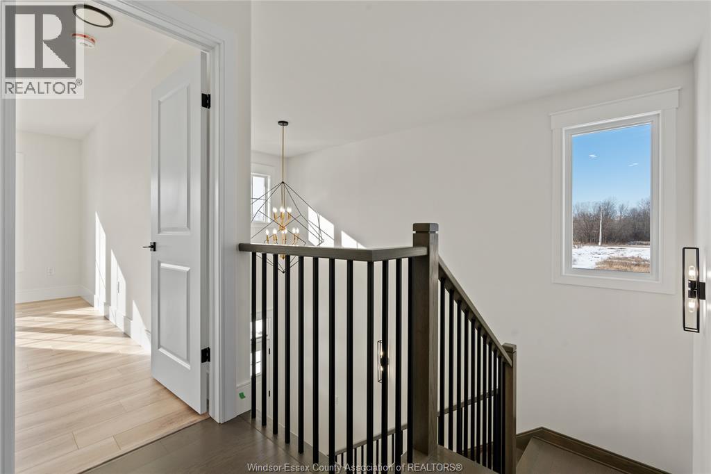 5213 Rafael Property Photo 22