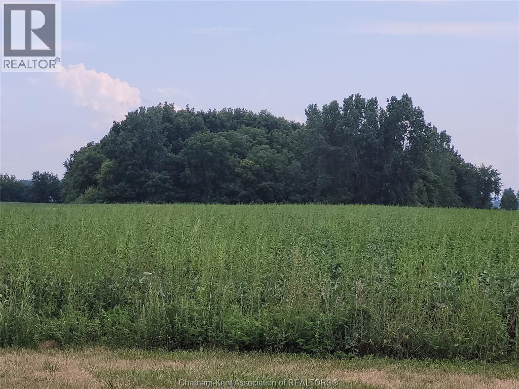 221 Holt Line Property Photo 24