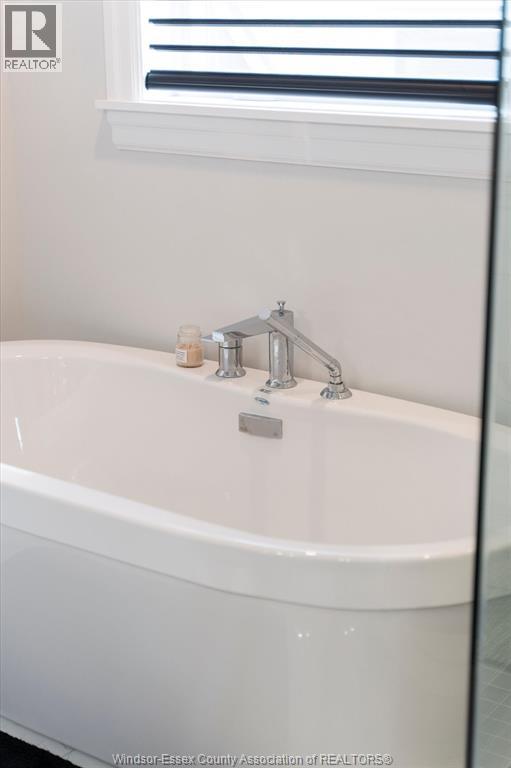 47 Belleview Property Photo 42