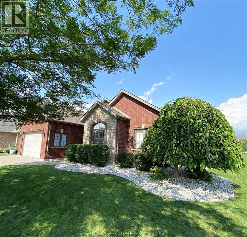 2 Primrose Property Photo 4