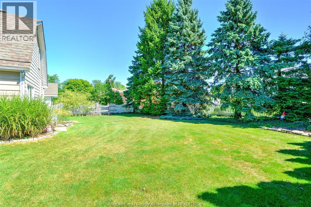 593 Dalhousie Property Photo 10