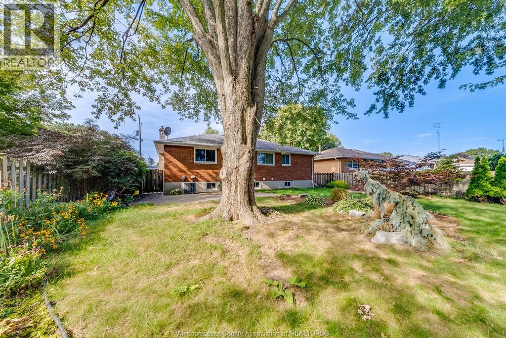 127 Coverdale Street Property Photo 29