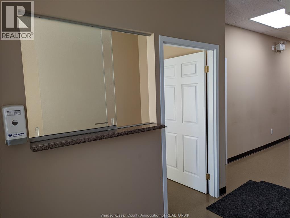 1074 Goyeau Unit# 1 Property Photo 8