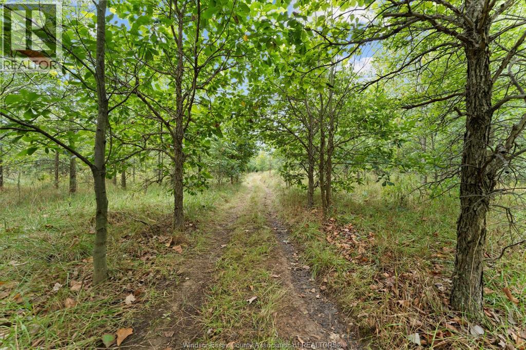 4913 4th Concession Rd E East Property Photo 44