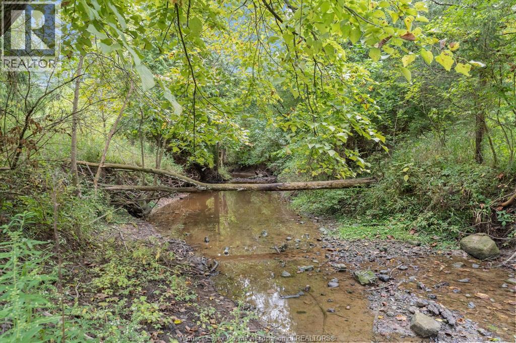 4913 4th Concession Rd E East Property Photo 46