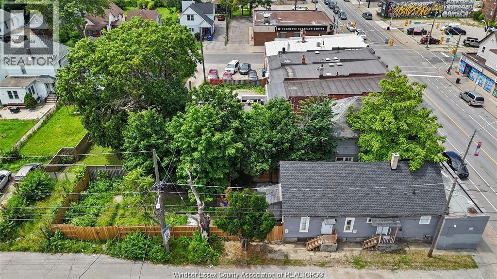 939 Wyandotte Street East Property Photo 4