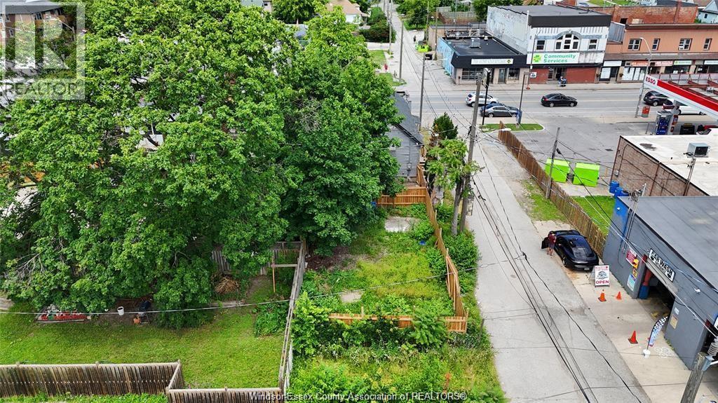 939 Wyandotte Street East Property Photo 3