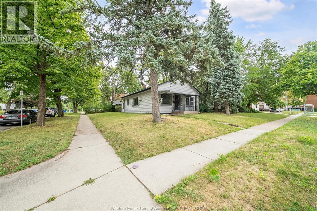 3173 Wyandotte St West Property Photo 4