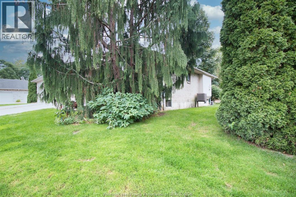 2 Thomas Street Property Photo 29