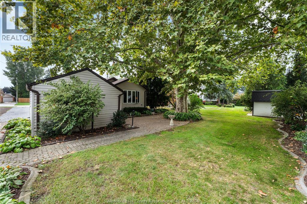 171 Maple Property Photo 8