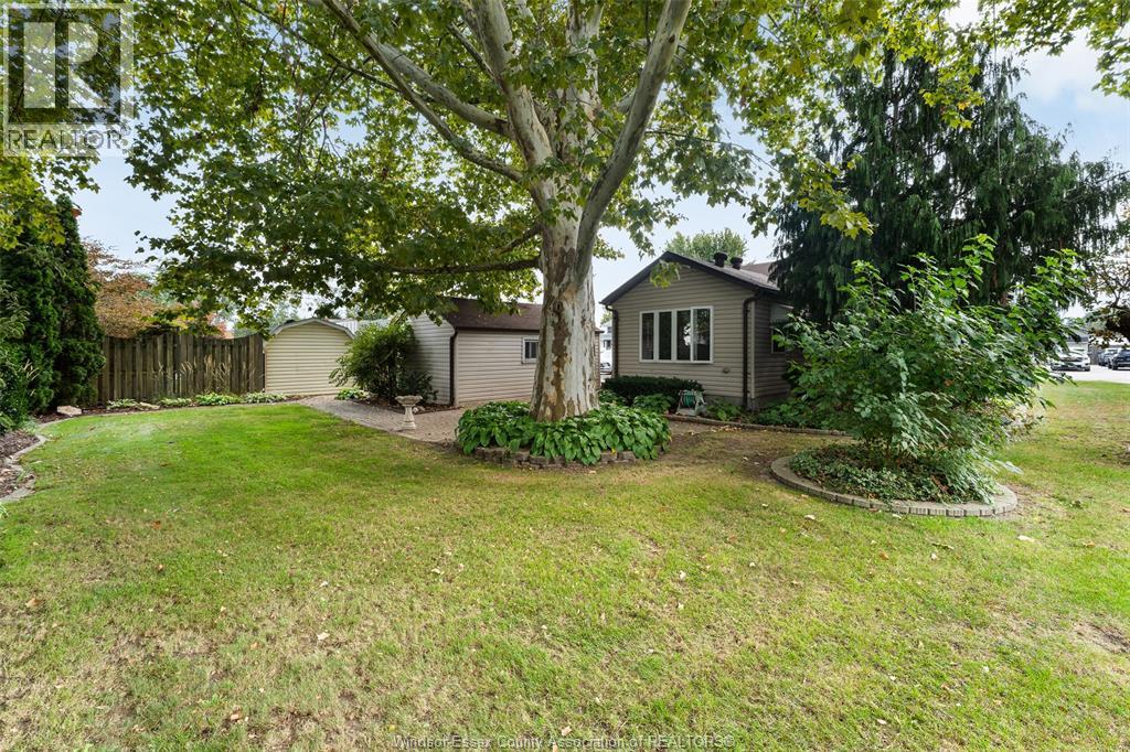 171 Maple Property Photo 9