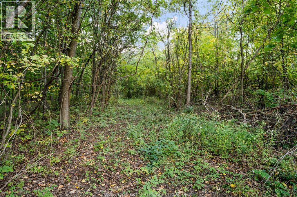 4776 Malden Road Property Photo 13