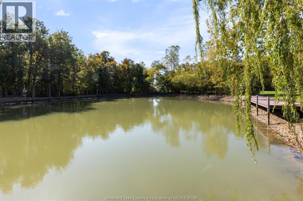 8541 North Sideroad Property Photo 31