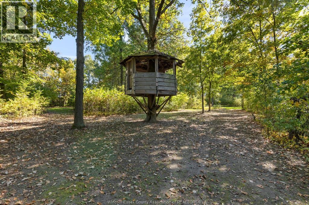 8541 North Sideroad Property Photo 32