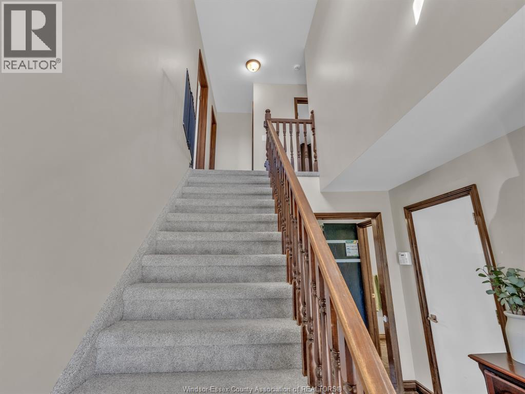 9 Evans Avenue Property Photo 15