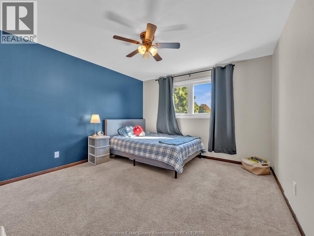 9 Evans Avenue Property Photo 19