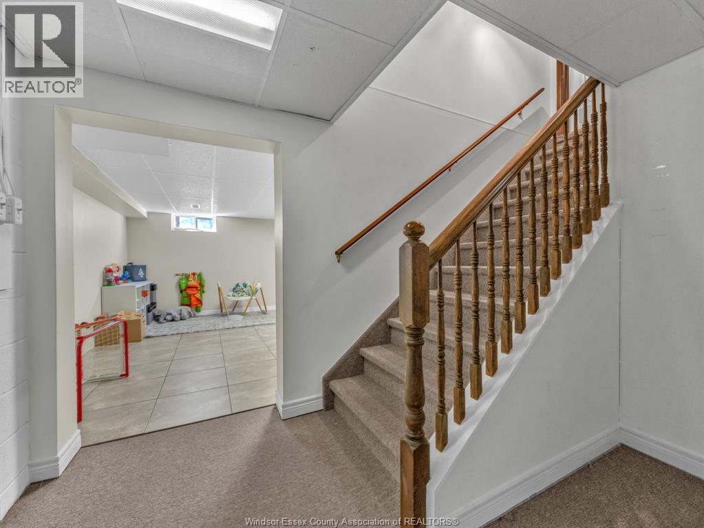 9 Evans Avenue Property Photo 23