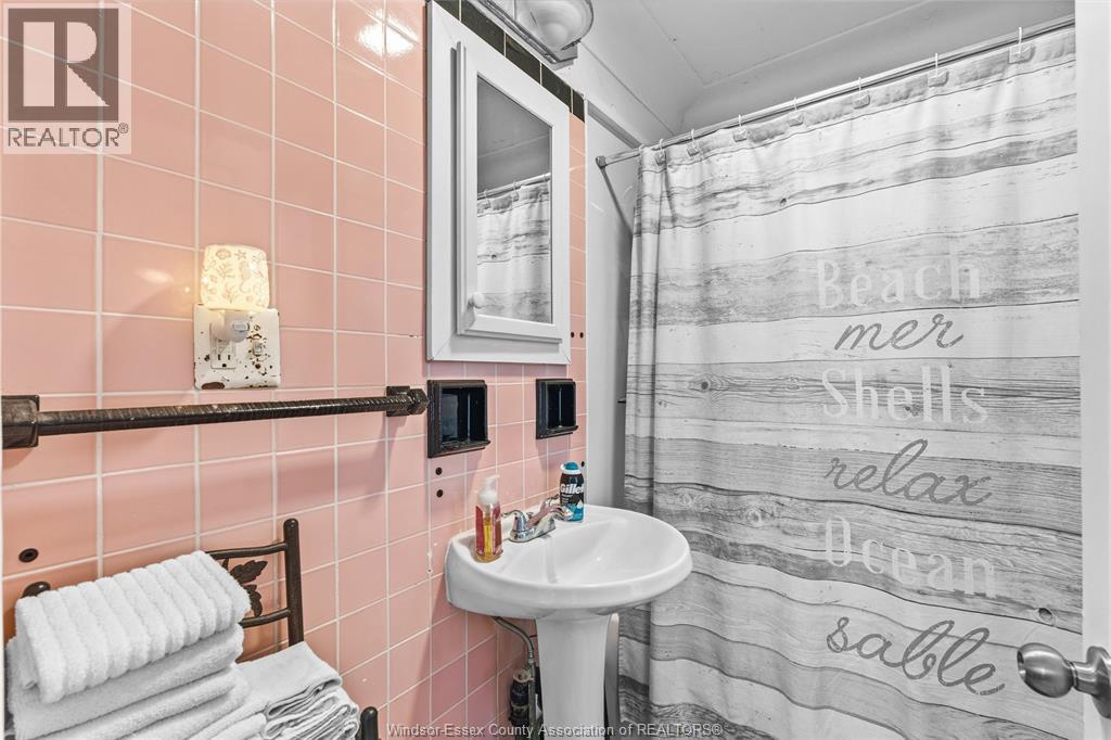 222 Lesperance Property Photo 15