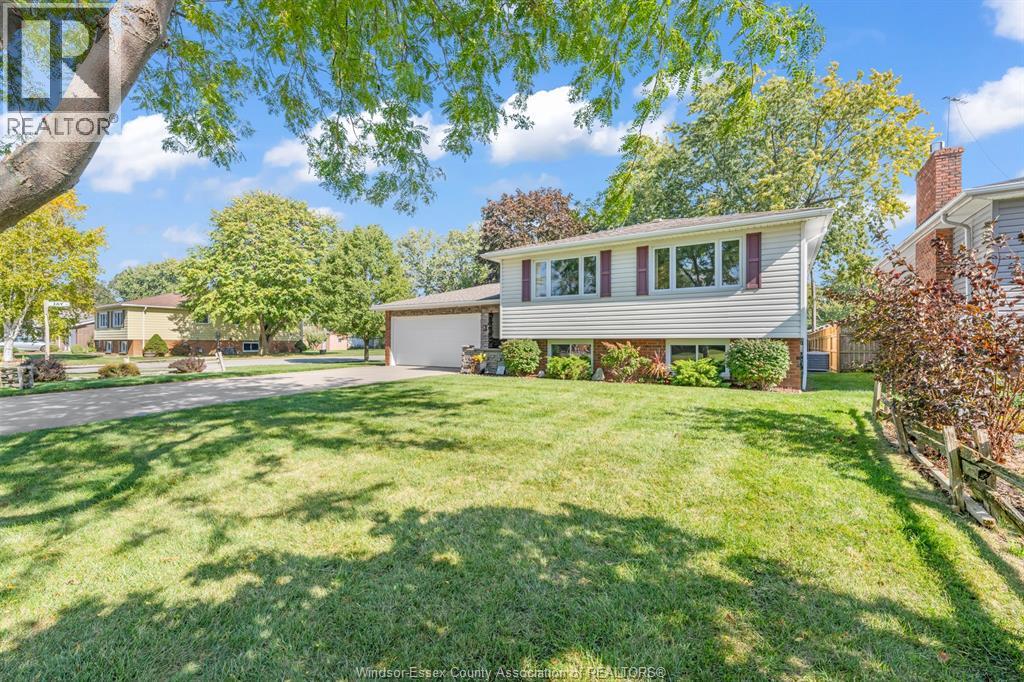 8 Bruce Avenue Property Photo 35