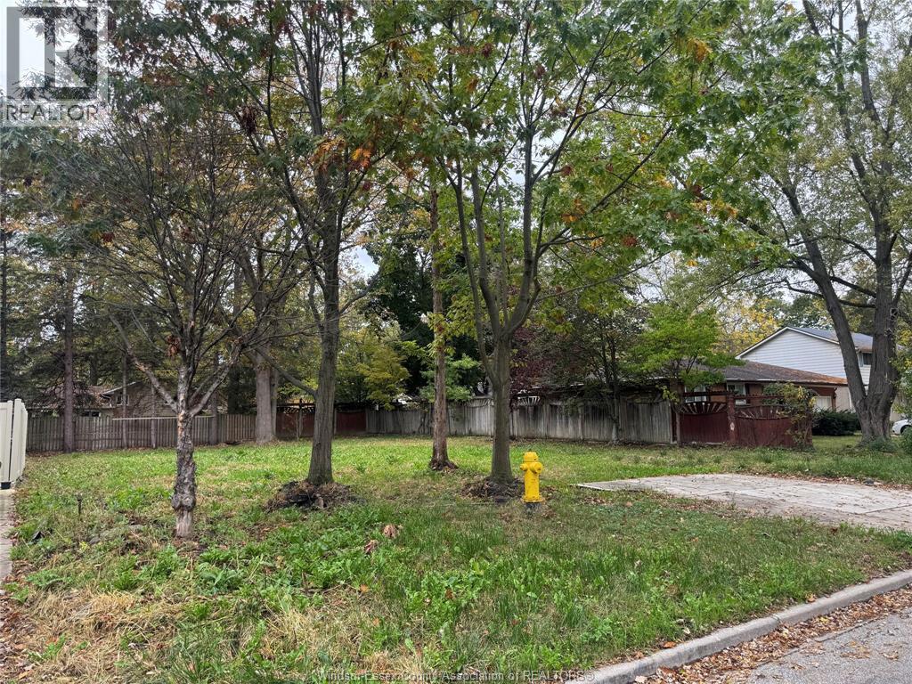3365 Rankin Property Photo 3