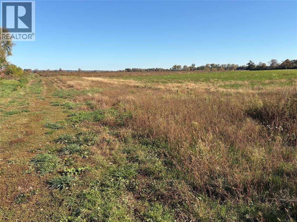 8152 Bog Line Property Photo 3