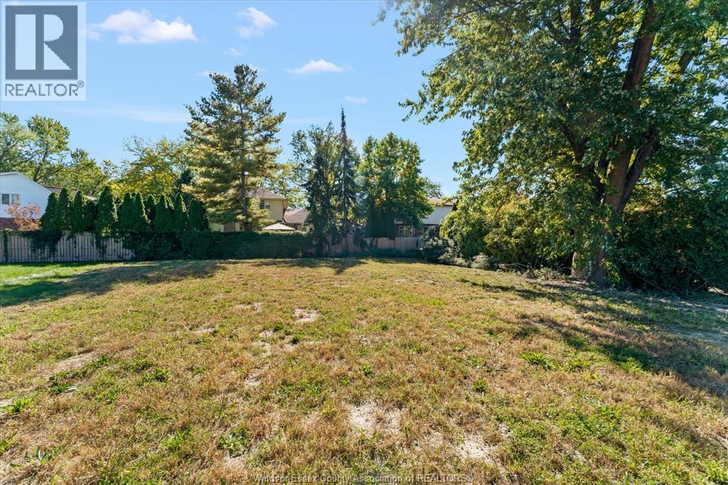 13231-33 Riverside Drive East Property Photo 12