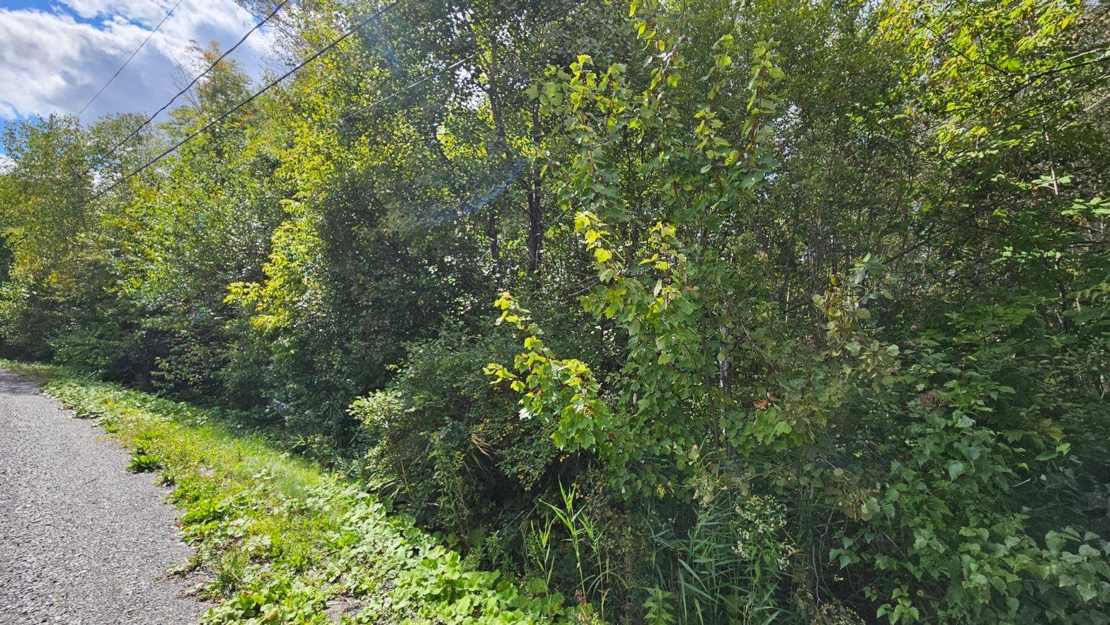 Rue De La Rivière Property Photo 3