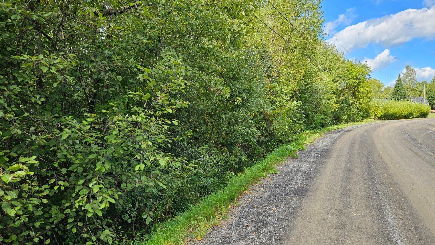 Rue De La Rivière Property Photo 4