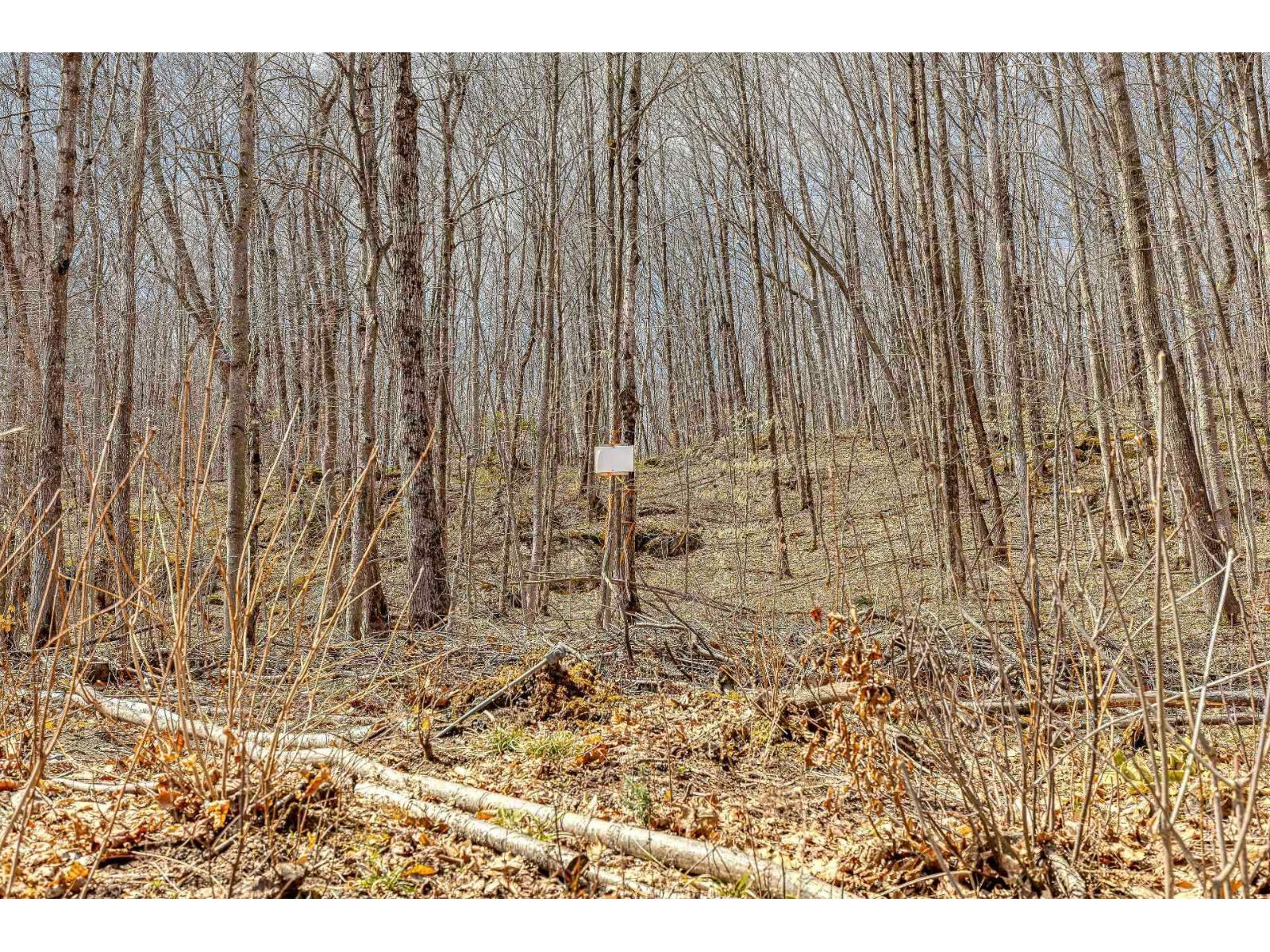 11 Ch. Du Lac-morgan Property Photo 2