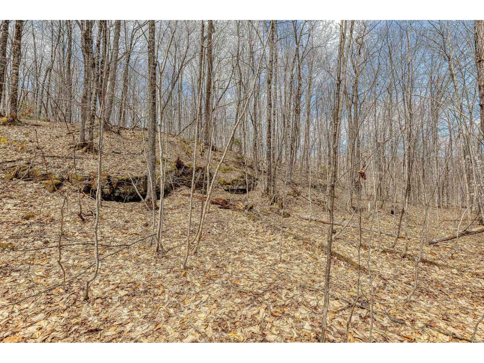 11 Ch. Du Lac-morgan Property Photo 5