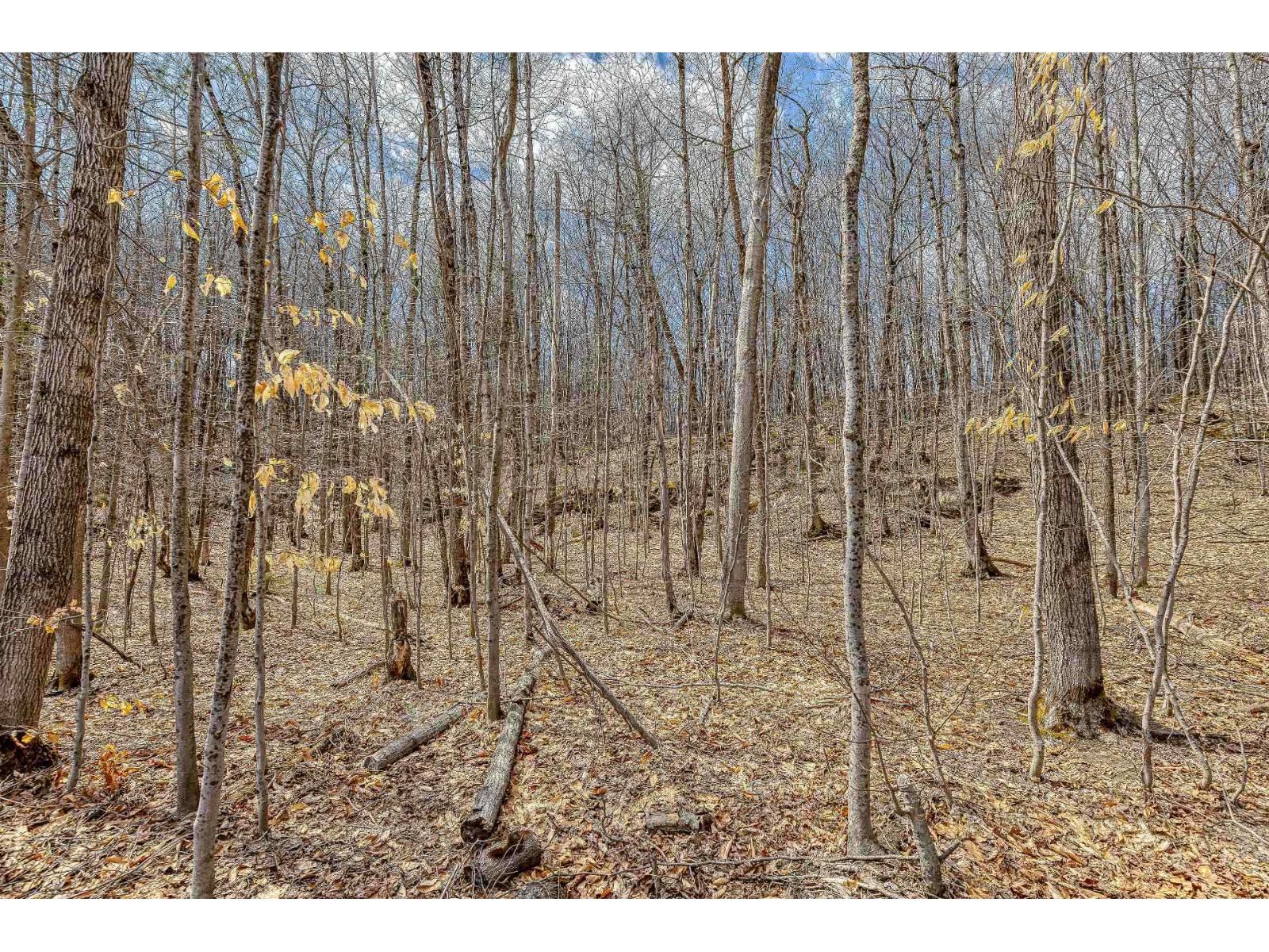11 Ch. Du Lac-morgan Property Photo 10