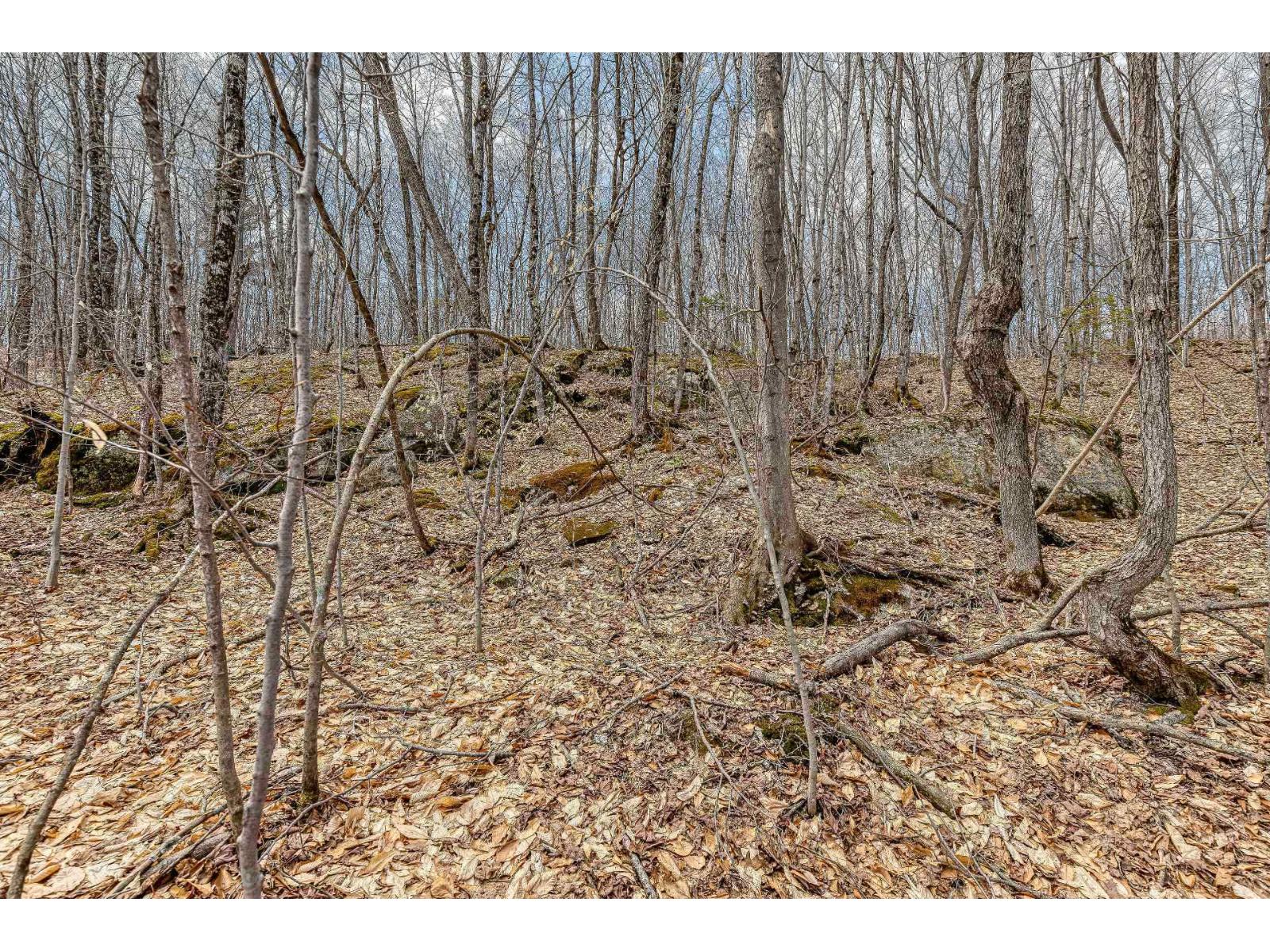 11 Ch. Du Lac-morgan Property Photo 11