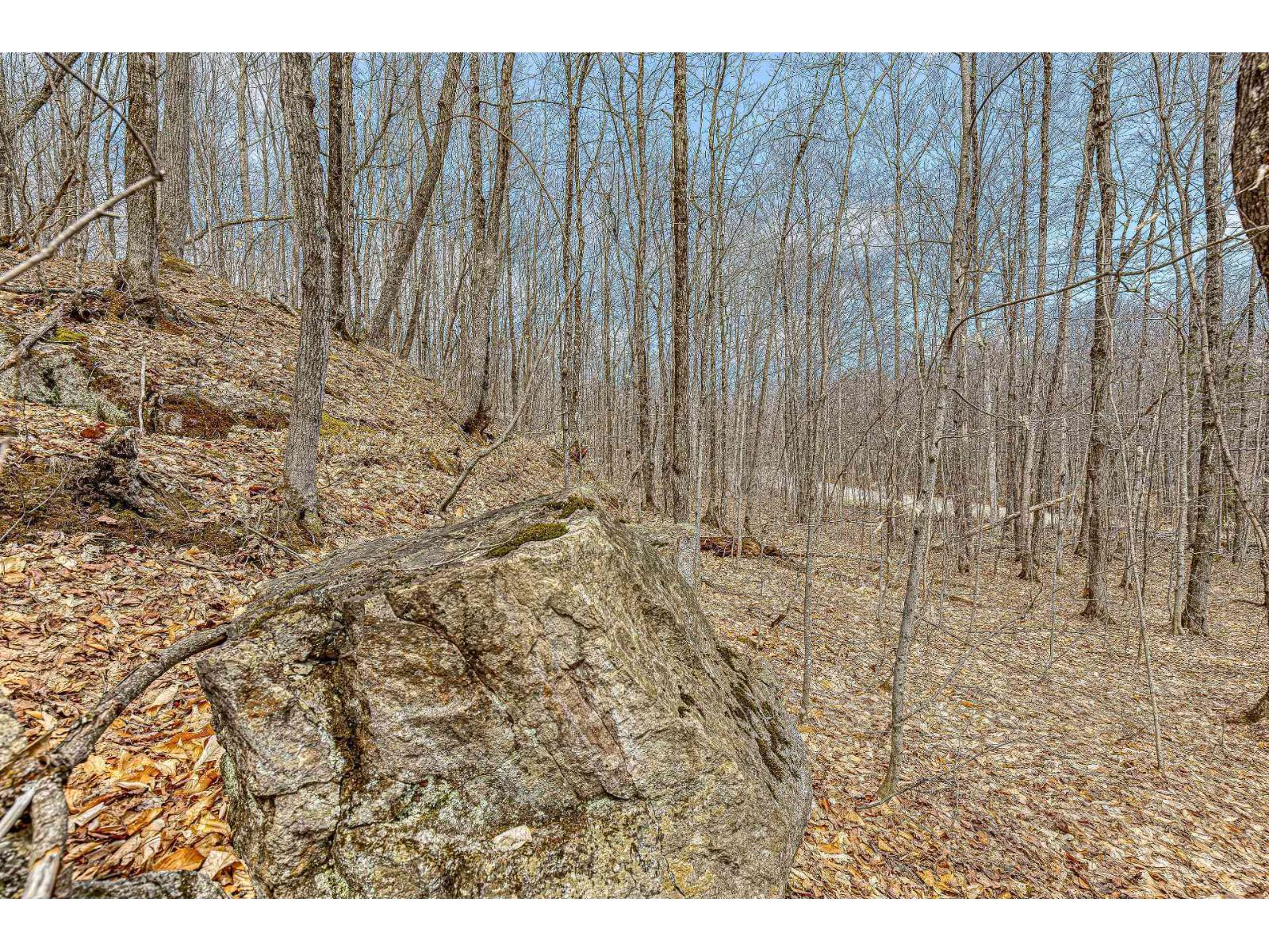 11 Ch. Du Lac-morgan Property Photo 12