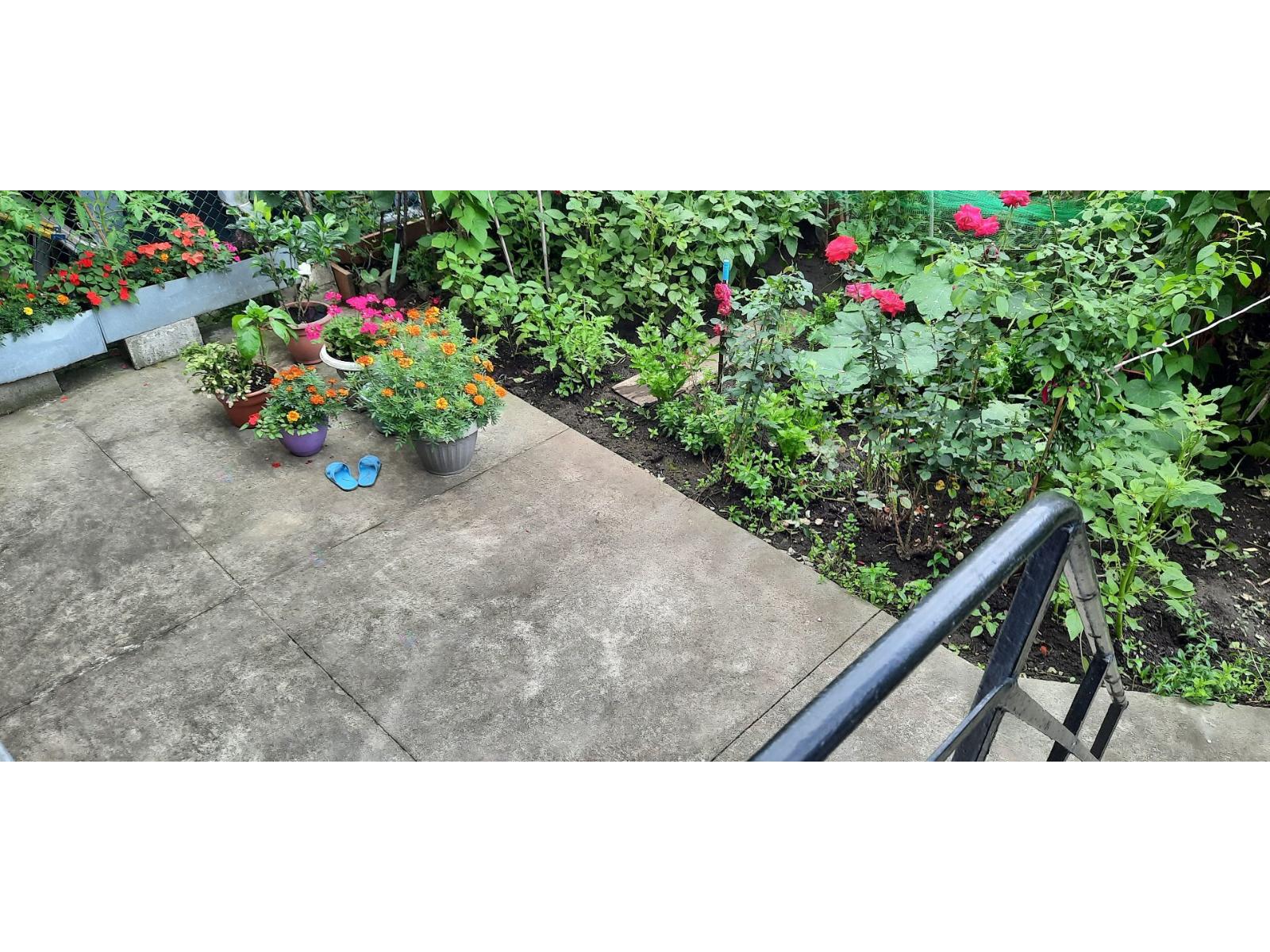8645 Av. Stuart, #2 Property Photo 22