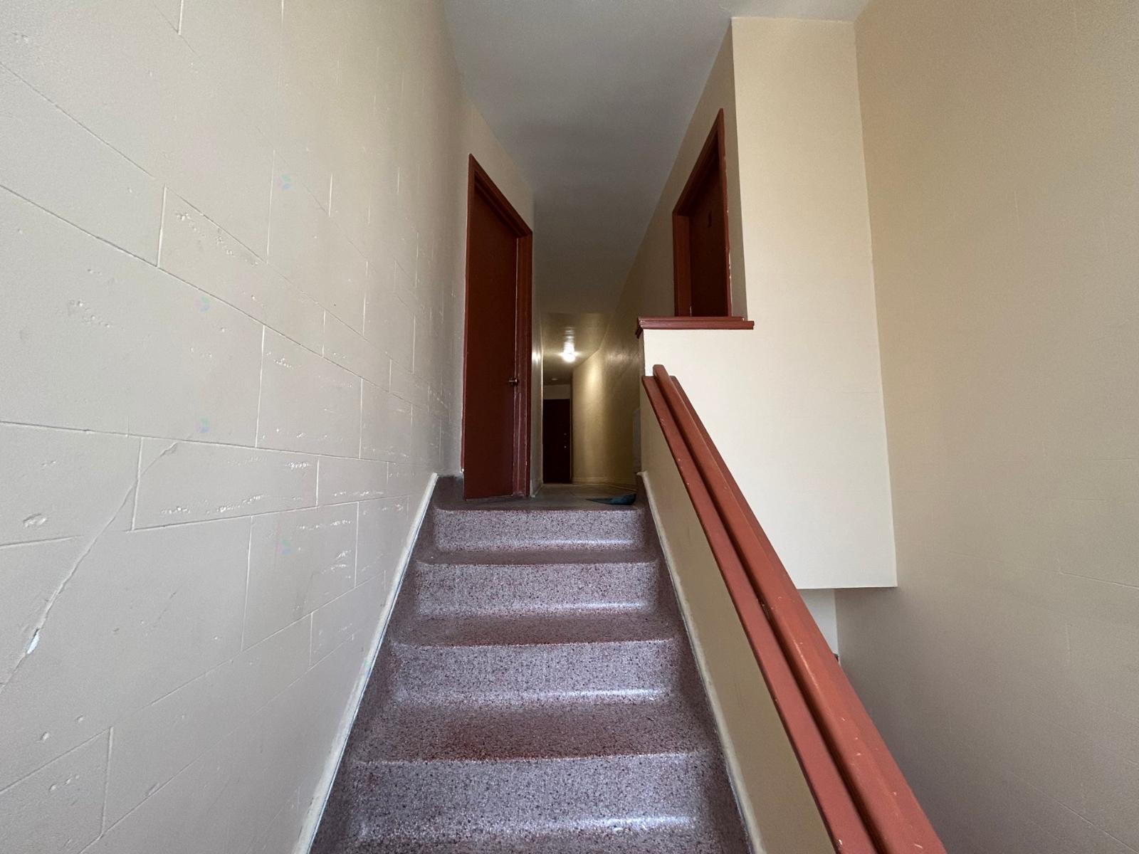 3871-3873 Rue Rachel E. Property Photo 3