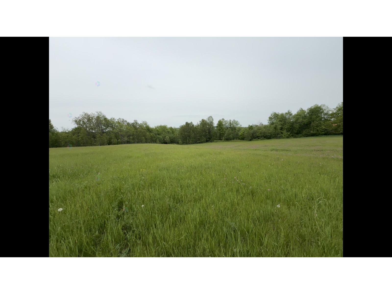 3 Ch. Flanders Property Photo 88