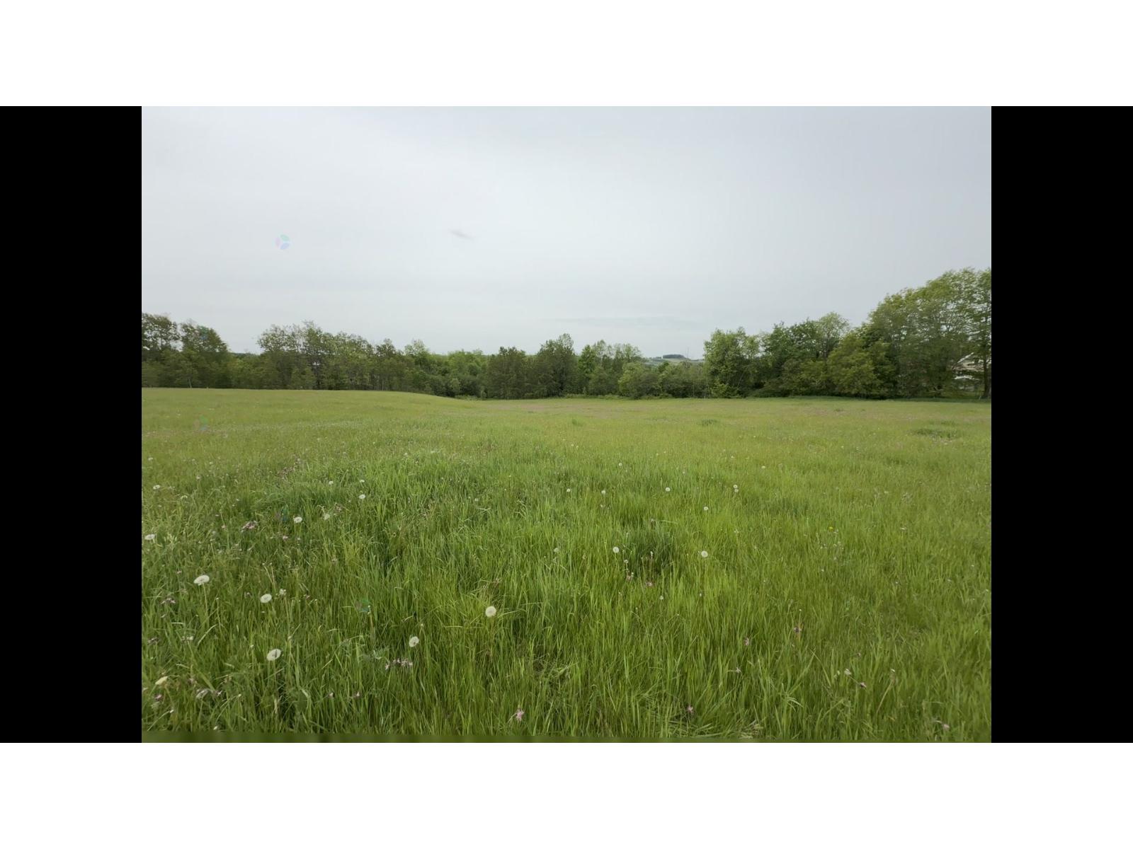 3 Ch. Flanders Property Photo 89