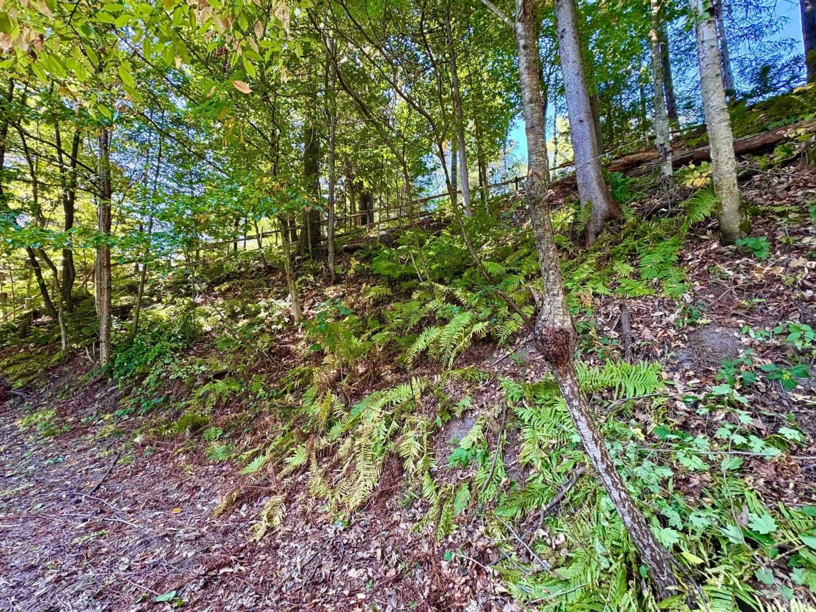 577 Rue Desabrais Property Photo 15