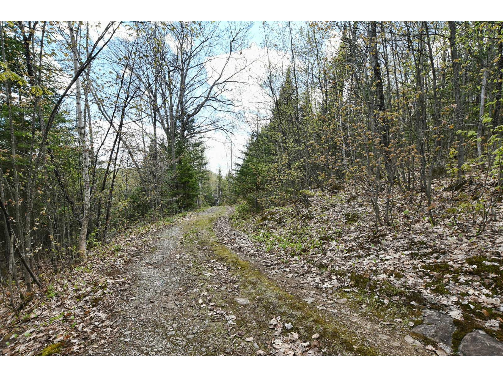 22 Ch. Du Lac-mcgrey Property Photo 81