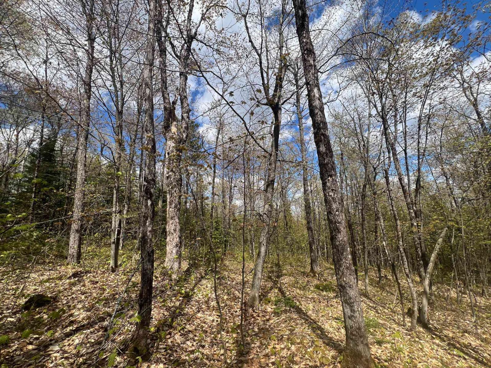 22 Ch. Du Lac-mcgrey Property Photo 93