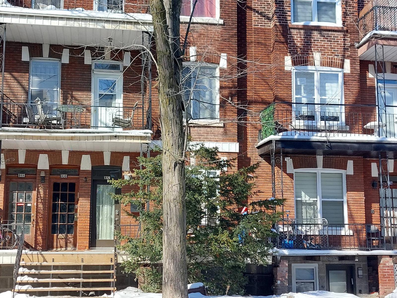 1331 Av. Lajoie Property Photo 2